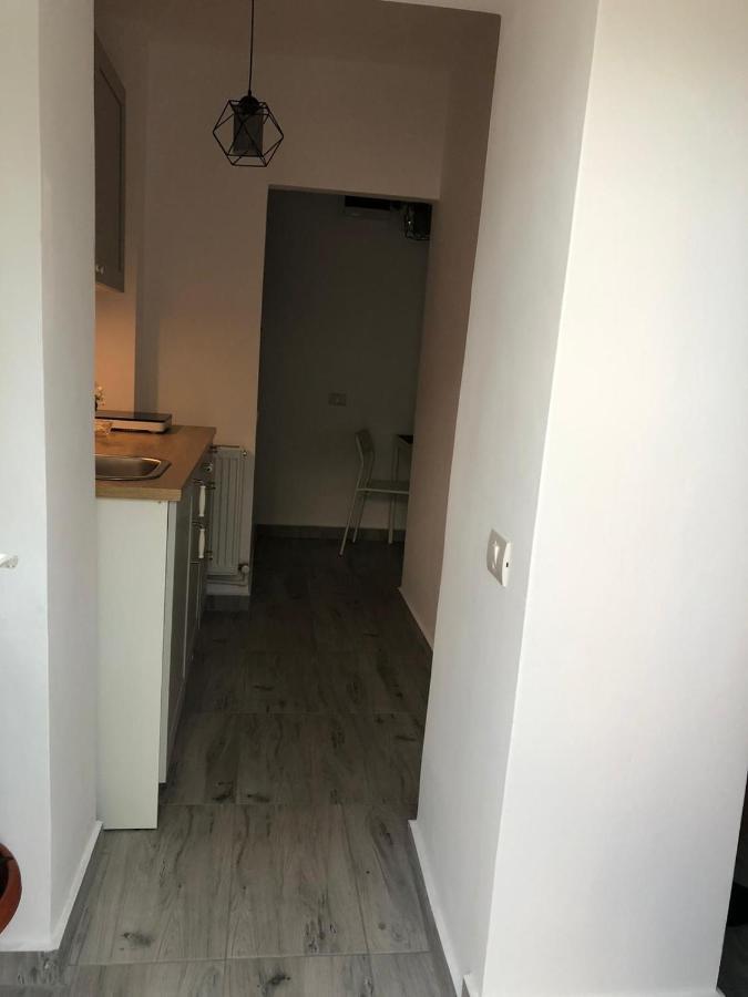 Sea Studio Constanta Luaran gambar