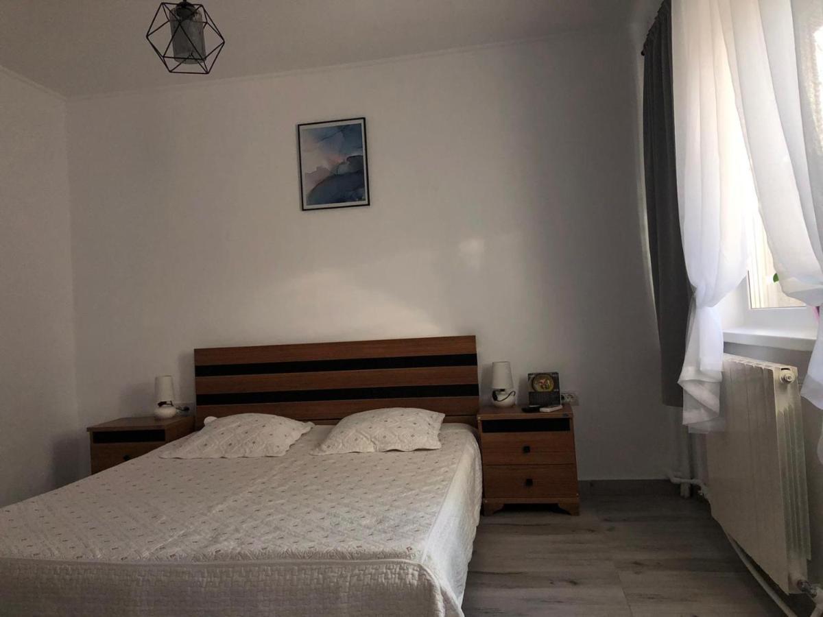 Sea Studio Constanta Luaran gambar